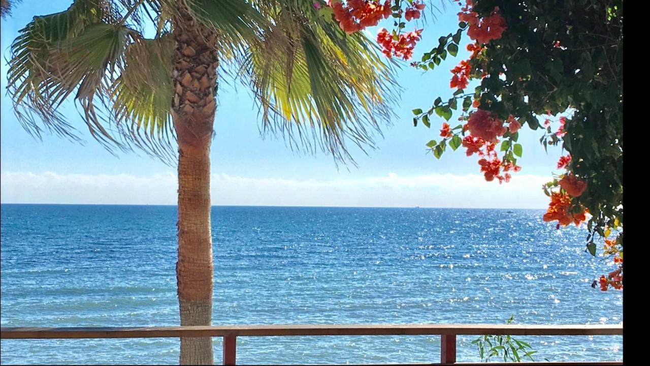 Mi Capricho B17 Beachfront Apartment Sitio de Calahonda Dış mekan fotoğraf